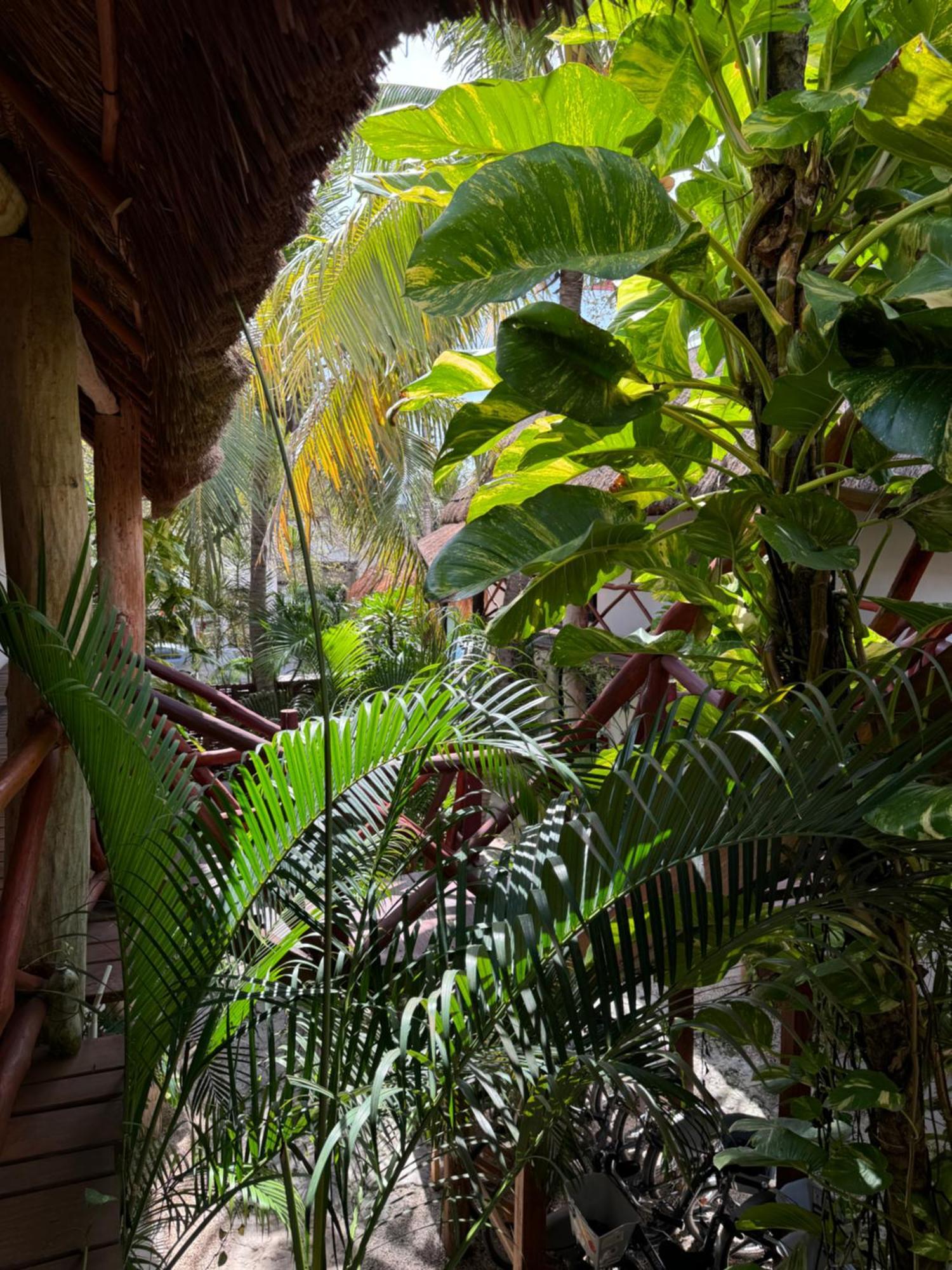 Kin Ha Tulum Hotel Exteriör bild